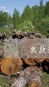 欠款30逾期10天会上征信吗 欠款30逾期10天会上征信吗