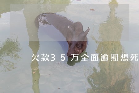 欠款35万全面逾期想死 欠款35万全面逾期想死