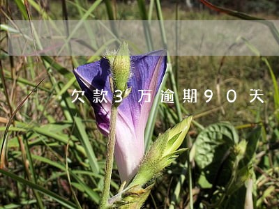 欠款3万逾期90天 欠款3万逾期90天