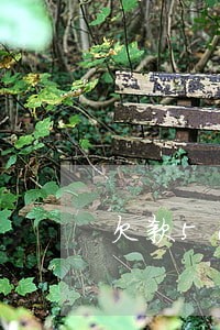 欠款5000元逾期怎么办 欠款5000元逾期怎么办
