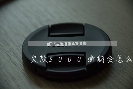 欠款5000逾期会怎么样