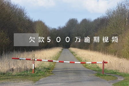 欠款500万逾期视频 欠款500万逾期视频