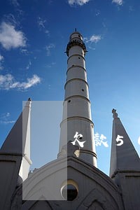 欠款50万已全面逾期