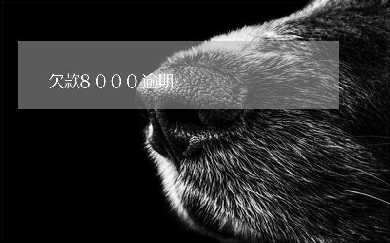 欠款8000逾期 欠款8000逾期