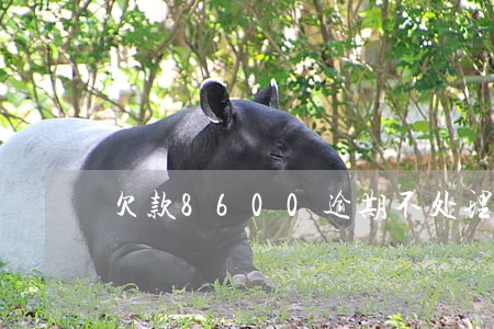 欠款8600逾期不处理的后果 欠款8600逾期不处理的后果