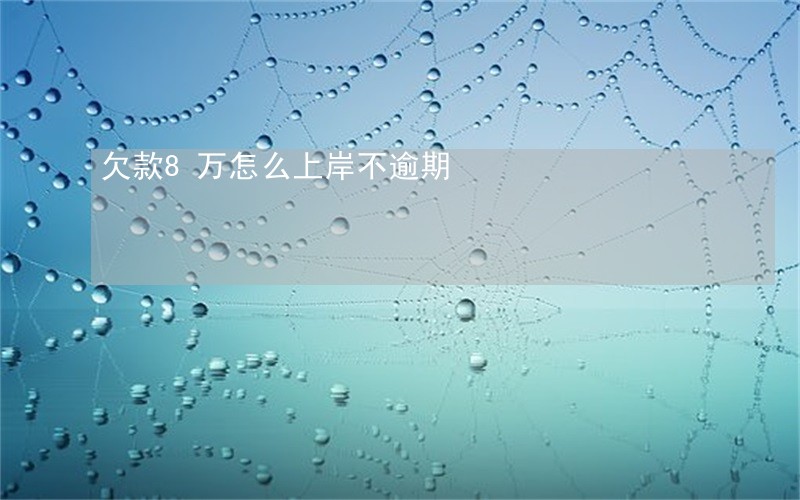 欠款8万怎么上岸不逾期 欠款8万怎么上岸不逾期