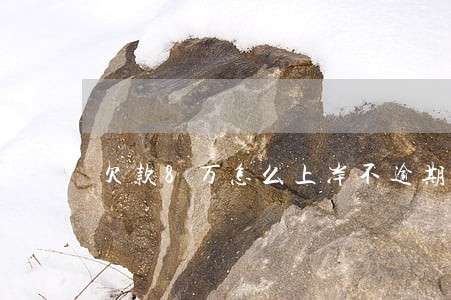 欠款8万怎么上岸不逾期的情况下 欠款8万怎么上岸不逾期的情况下