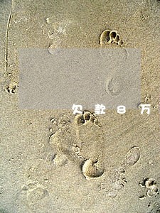 欠款8万逾期 欠款8万逾期