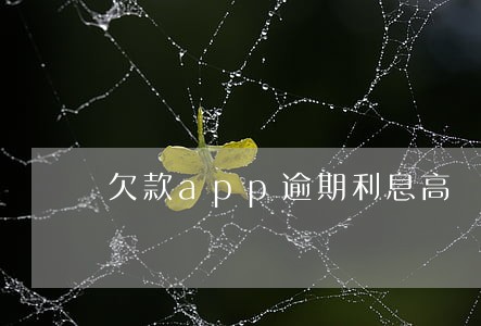 欠款app逾期利息高 欠款app逾期利息高