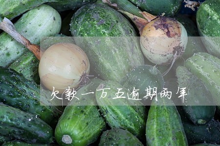 欠款一万五逾期两年 欠款一万五逾期两年