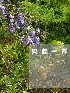 欠款一万元逾期利息多少 欠款一万元逾期利息多少