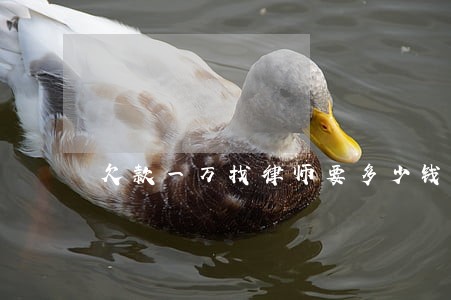 欠款一万找律师要多少钱 欠款一万找律师要多少钱