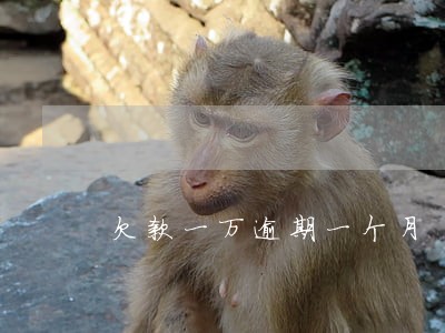欠款一万逾期一个月 欠款一万逾期一个月