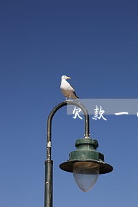 欠款一两千逾期两年 欠款一两千逾期两年