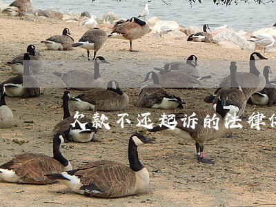 欠款不还起诉的法律依据是什么 欠款不还起诉的法律依据是什么