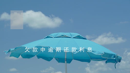 欠款中逾期还款利息 欠款中逾期还款利息