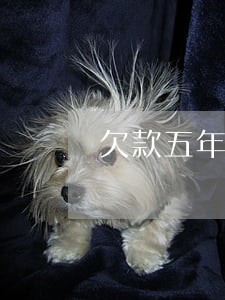 欠款五年只还本金 欠款五年只还本金