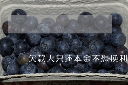 欠款人只还本金不想换利息 欠款人只还本金不想换利息