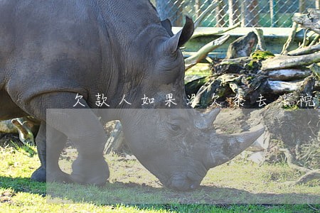 欠款人如果没欠条去法院怎么告 欠款人如果没欠条去法院怎么告