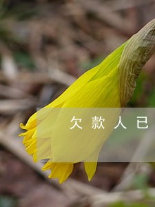 欠款人已签收法院传票 欠款人已签收法院传票