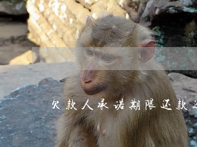 欠款人承诺期限还款逾期房产抵债 欠款人承诺期限还款逾期房产抵债