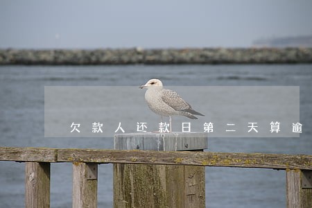 欠款人还款日第二天算逾期吗 欠款人还款日第二天算逾期吗