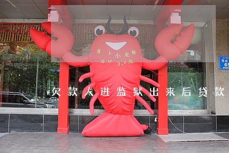 欠款人进监狱出来后贷款逾期 欠款人进监狱出来后贷款逾期