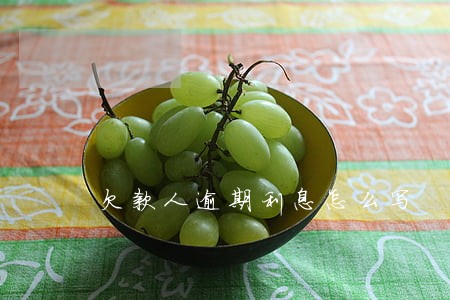 欠款人逾期利息怎么写 欠款人逾期利息怎么写
