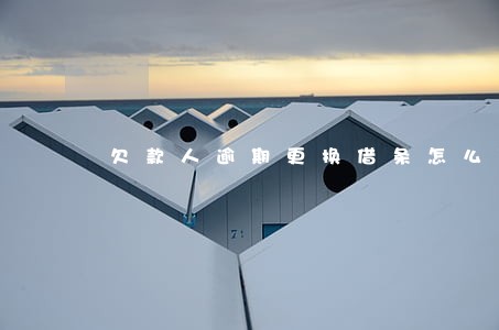 欠款人逾期更换借条怎么写 欠款人逾期更换借条怎么写