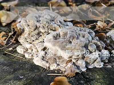 欠款会逾期吗没钱还怎么办 欠款会逾期吗没钱还怎么办