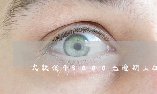 欠款低于3000元逾期上征信吗 欠款低于3000元逾期上征信吗