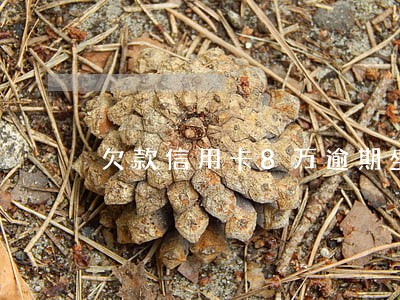 欠款信用卡8万逾期坐牢吗