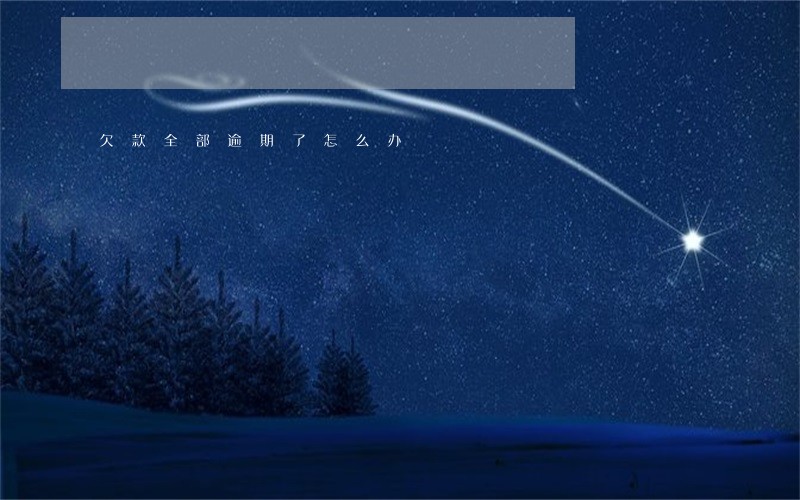 欠款全部逾期了怎么办