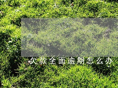 欠款全面逾期怎么办