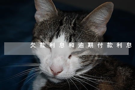 欠款利息和逾期付款利息 欠款利息和逾期付款利息