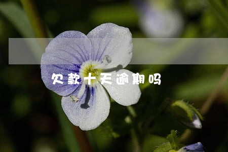 欠款十天逾期吗 欠款十天逾期吗