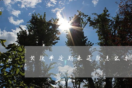 欠款单逾期未还款怎么办 欠款单逾期未还款怎么办