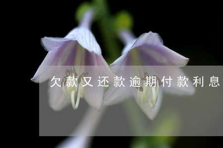 欠款又还款逾期付款利息 欠款又还款逾期付款利息