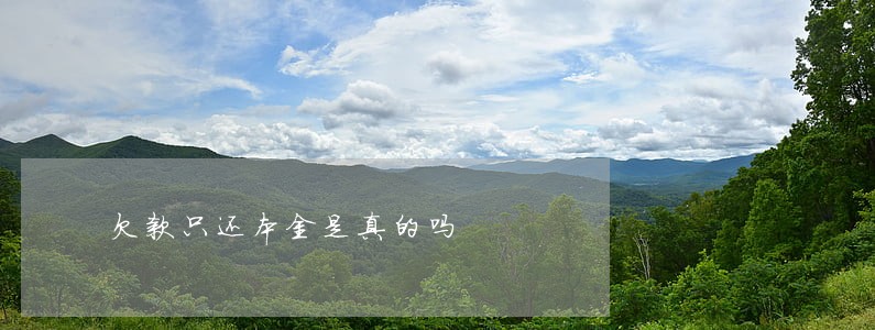 欠款只还本金是真的吗 欠款只还本金是真的吗