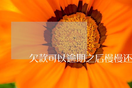 欠款可以逾期之后慢慢还吗 欠款可以逾期之后慢慢还吗