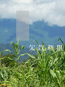 欠款和借款的诉讼时效 欠款和借款的诉讼时效