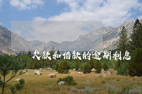 欠款和借款的逾期利息 欠款和借款的逾期利息