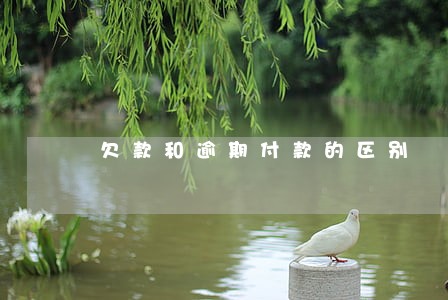 欠款和逾期付款的区别 欠款和逾期付款的区别