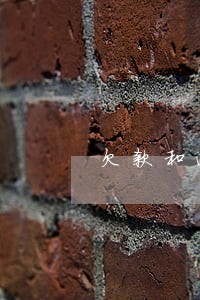 欠款和逾期应收 欠款和逾期应收