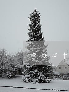欠款四十万逾期5年利息 欠款四十万逾期5年利息