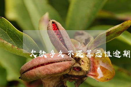欠款多久不还算恶性逾期 欠款多久不还算恶性逾期