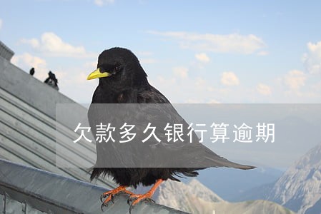 欠款多久银行算逾期 欠款多久银行算逾期