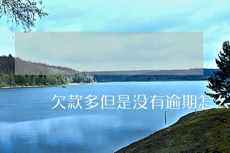 欠款多但是没有逾期怎么办 欠款多但是没有逾期怎么办