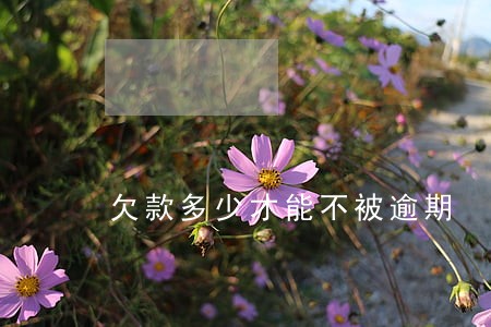 欠款多少才能不被逾期 欠款多少才能不被逾期