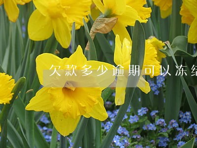 欠款多少逾期可以冻结所有账户 欠款多少逾期可以冻结所有账户